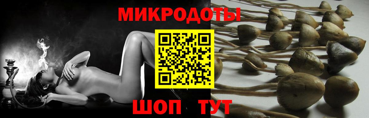 Санкт-Петербург  хочу наркоту  Вход с VPN  Галлюциногенные грибы Psilocybe 