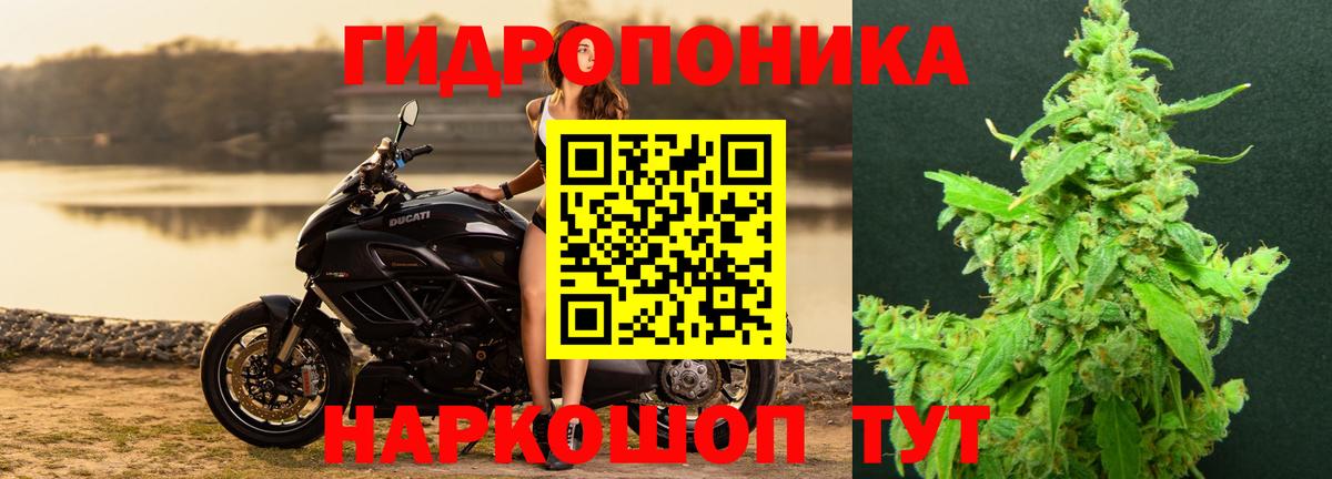 МАРИХУАНА Bruce Banner  Вход с VPN  Санкт-Петербург  Марихуана VHQ 